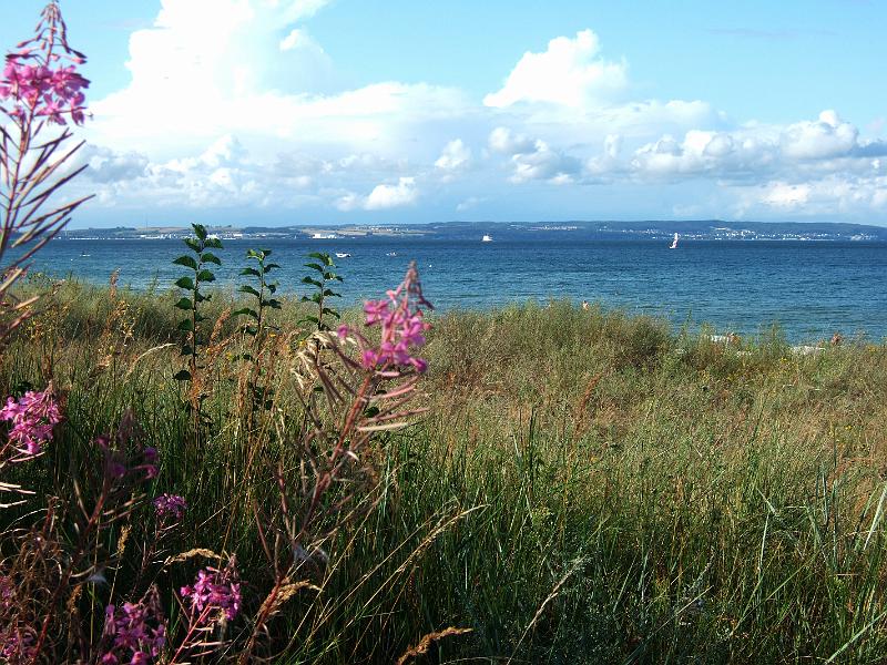 2009-08- (393).JPG - ... könnte auch am Mittelmehr sein